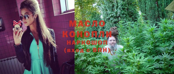 шишки Бородино