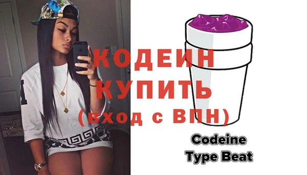 шишки Бородино