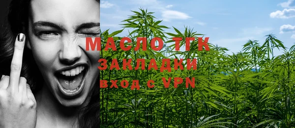 шишки Бородино