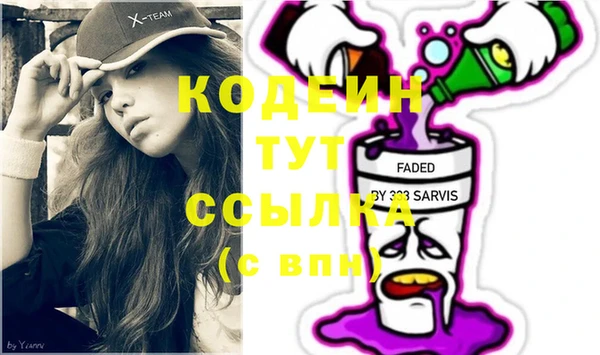 шишки Бородино