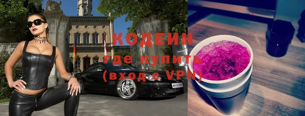 шишки Бородино